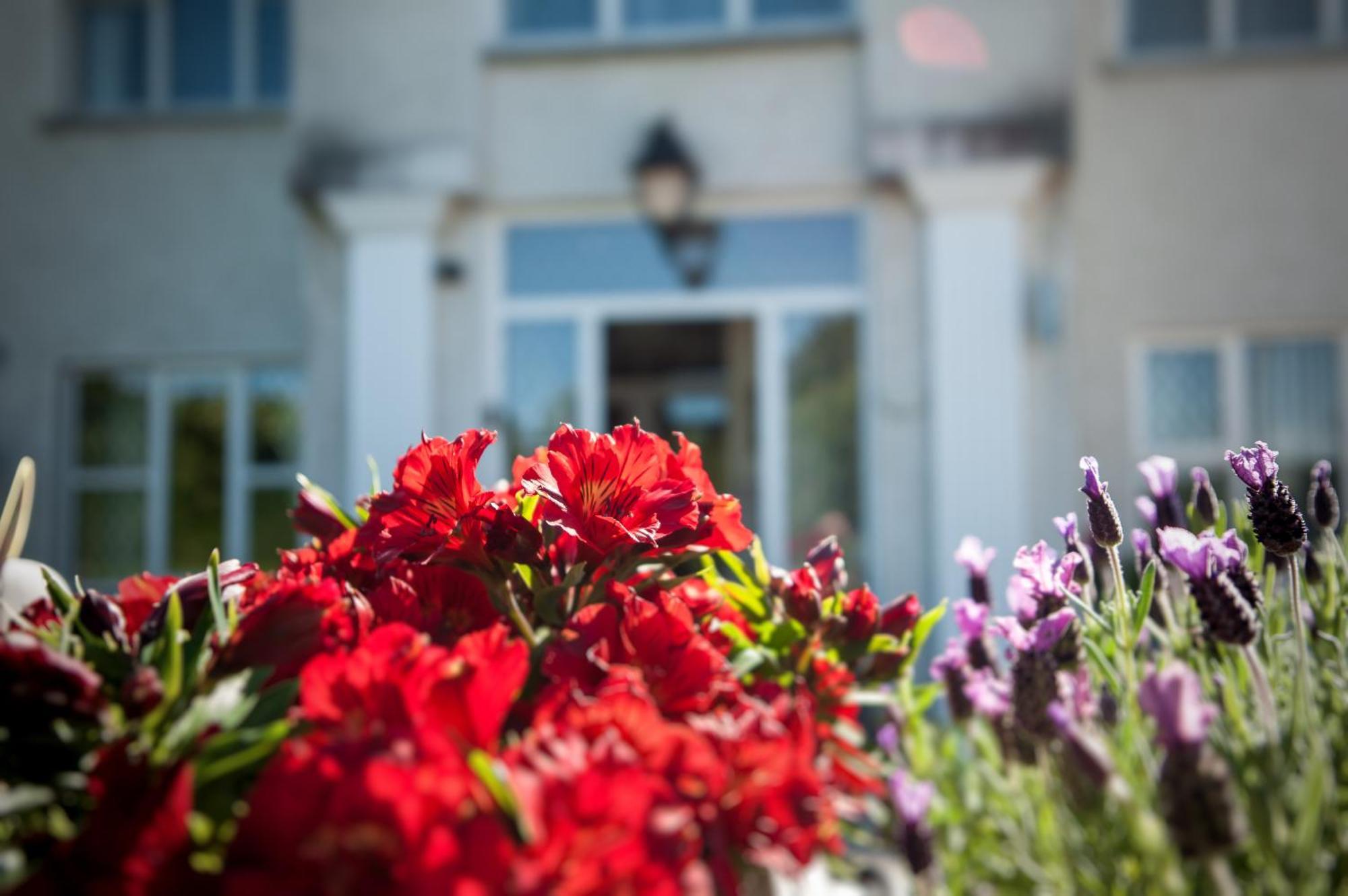 Grove House Bed & Breakfast Carlingford Exterior foto